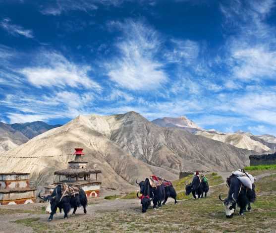 Inner Dolpo Trek