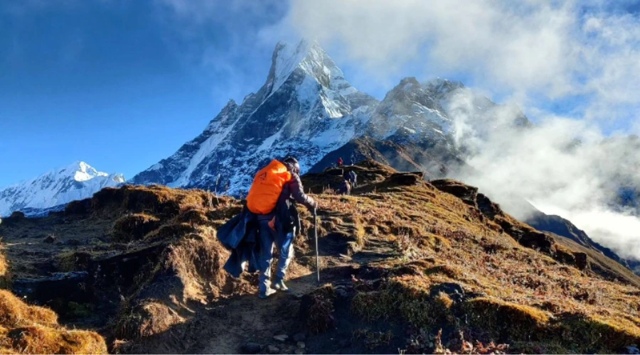 A trekker trekking in the Mardi Himal Trek route