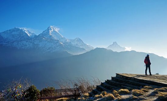 Benefits Of Himalayan Masters