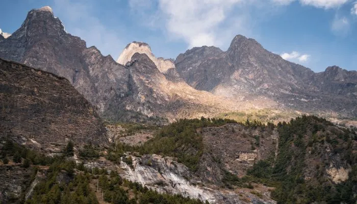 lush-forest-seen-at-the-lower-altitudes-of-Tsum-Valley-Trekking