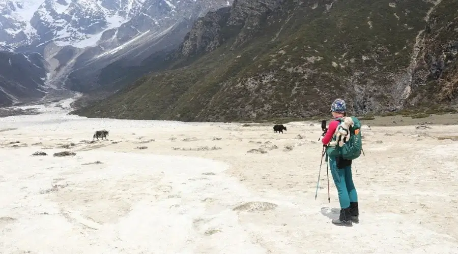 Beautiful landscape of Pungen Gompa