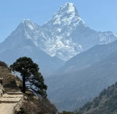 Mount Everest View Trek