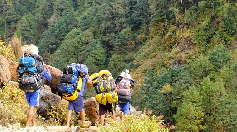 Porters carrying luggage during the Kanchenjunga Trek