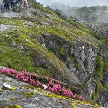 Rocky paths at Gosaikunda Trail Nepal