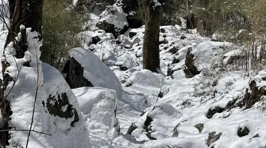 Route of ABC Trek covered in Snow