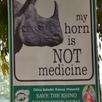 Sign board for rhinos at Chitwan National Park