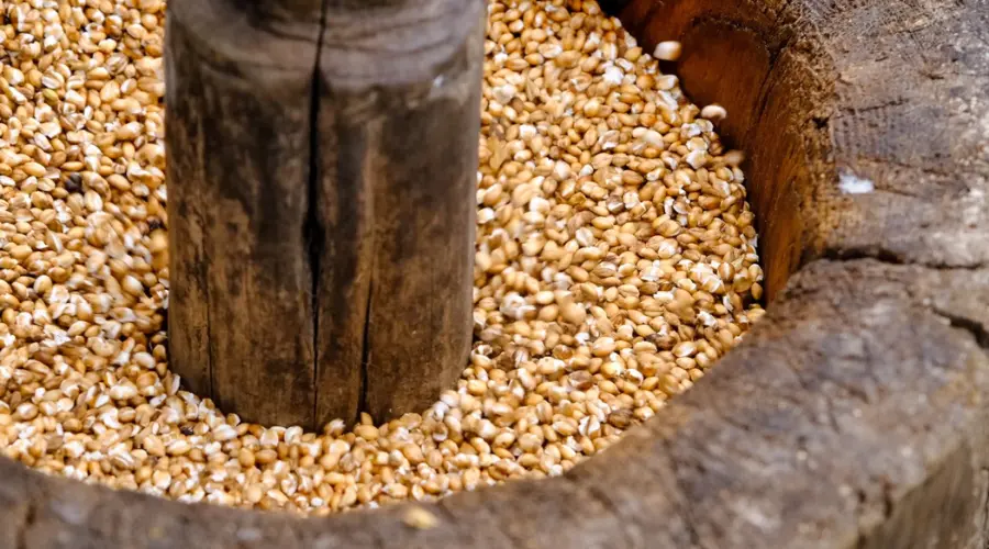 Traditional grain shelling Nepal