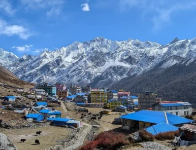 View of Kyanjin Gompa, Langtang