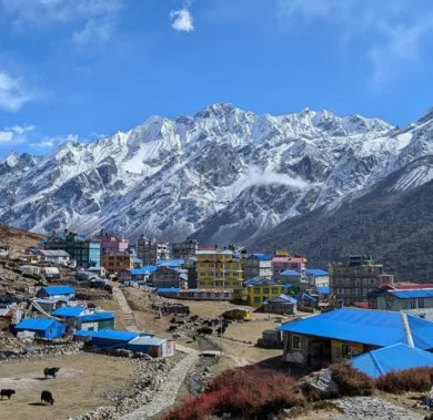 View of Kyanjin Gompa, Langtang