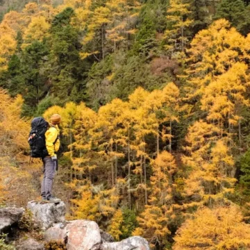 Autumn Hiking Trail of Kanchenjunga Trek