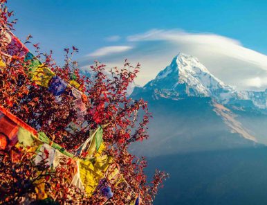 Ghorepani Poonhill Trek