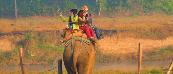 Elephant ride inElephant ride in ChitwanNepal