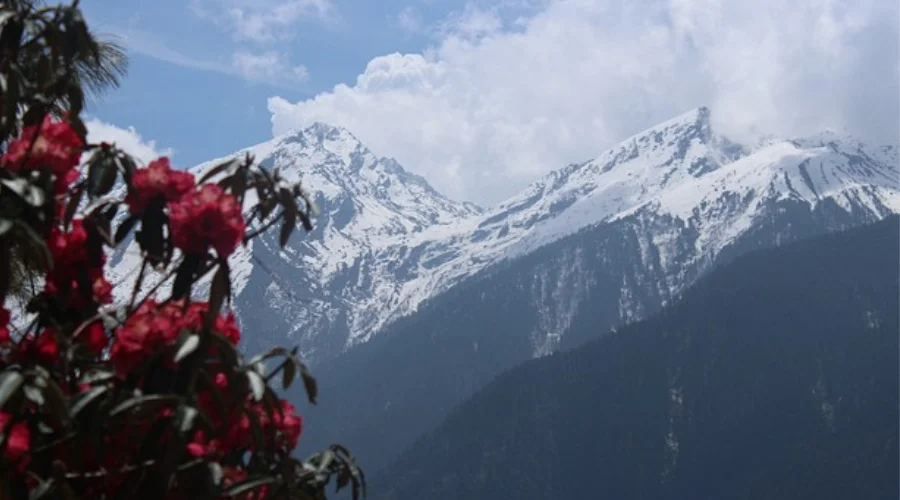 Online trek permit Nepal