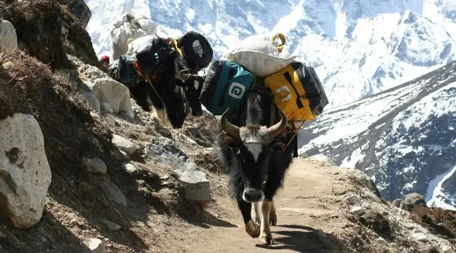 Sagarmatha National Park