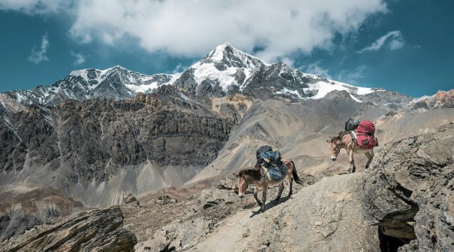 Everest Base Camp Elevation