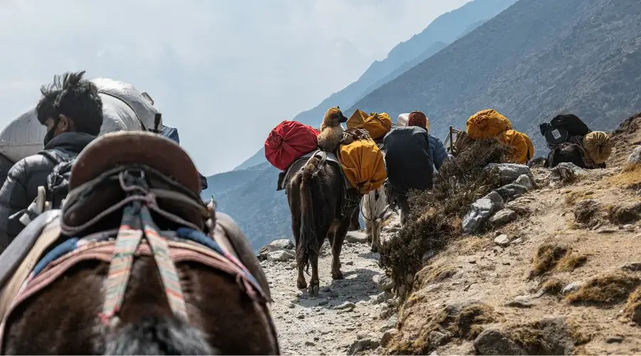 Mera Peak climbing accommodation