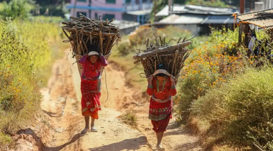 Nepali women carrying woods in DOKO