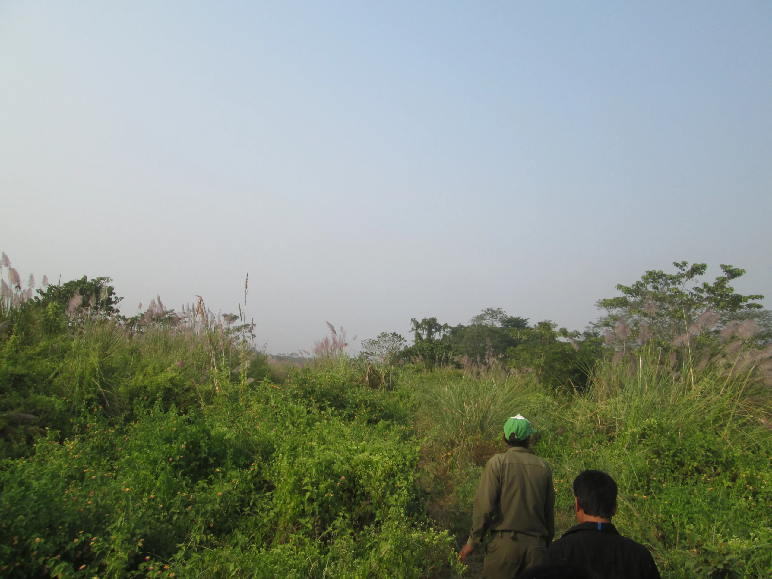 Chitwan National Park Tour