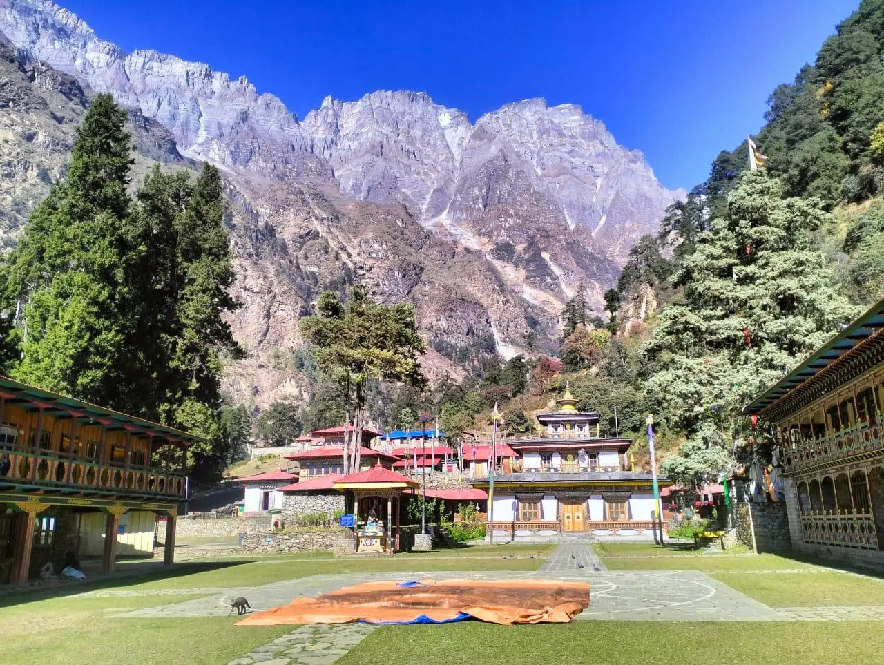 Buddhist-Monastery-Serang-Gompa