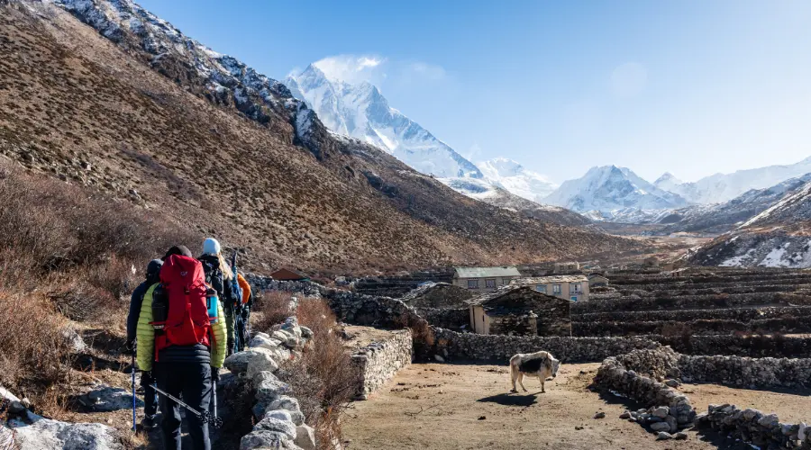 Trekkers on the way to Island Peak climbing