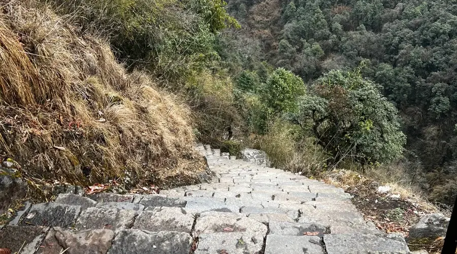 Downhill Stairs on Annapurna Base Camp Trek