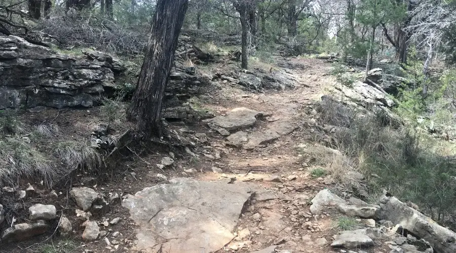 Downhill rough terrain while on trek