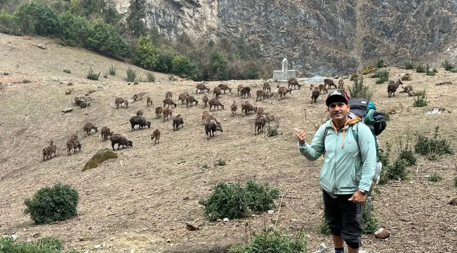 Wildlife spotting during thru hiking