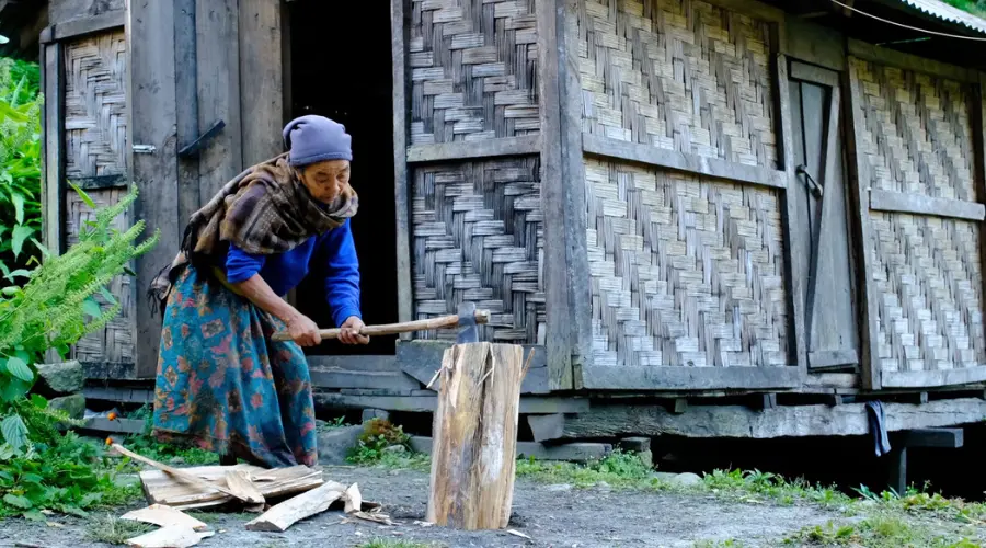 A woman seen cutting firewood during the Kanchenjunga Camping Trek