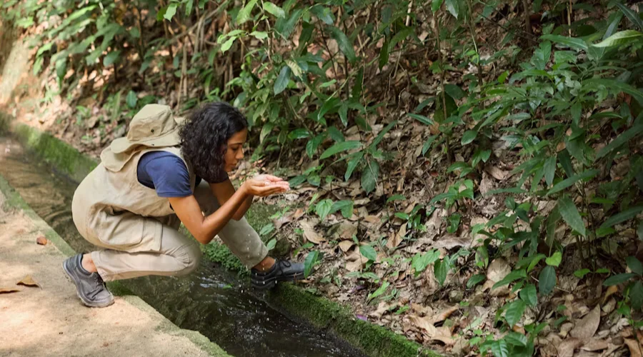 Direct Consumption of Water Like This Can Cause Illness
