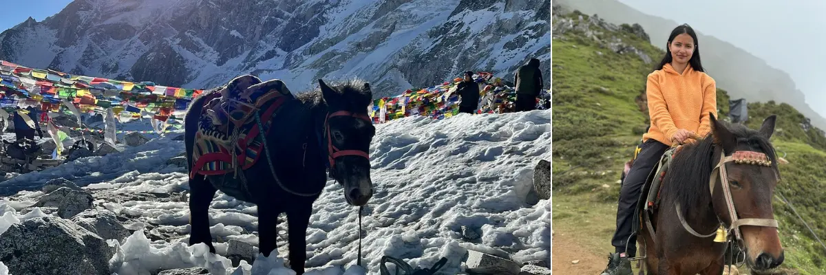 Horseback Riding in Nepal: Top Routes, Costs, and Tips