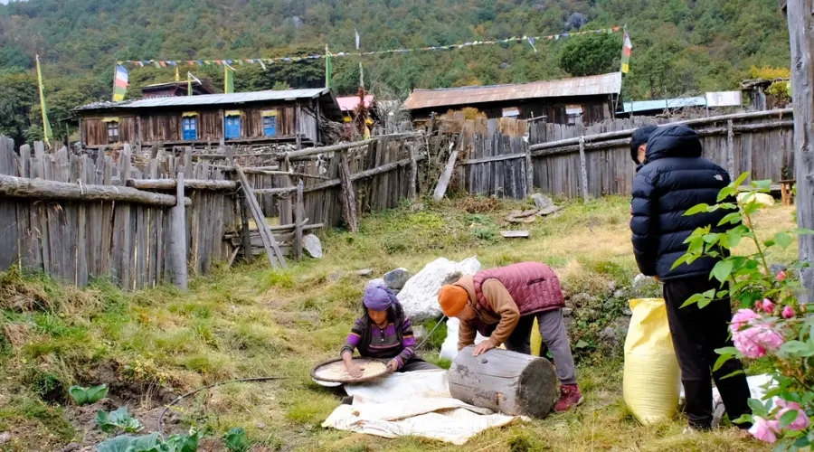 Local people in Kanchenjunga engaged in daily work