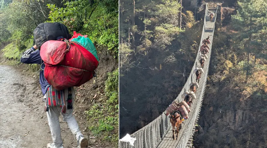 Mules and porters, the heart of transport in the Himalayas