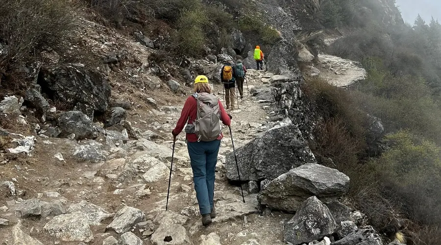 Trekkers trekking on the rugged terrains of the Himalayas