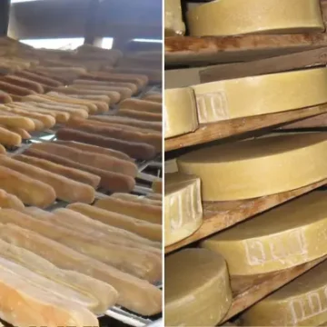 All About Yak Cheese: The Hidden Dairy Food of Nepal Trek