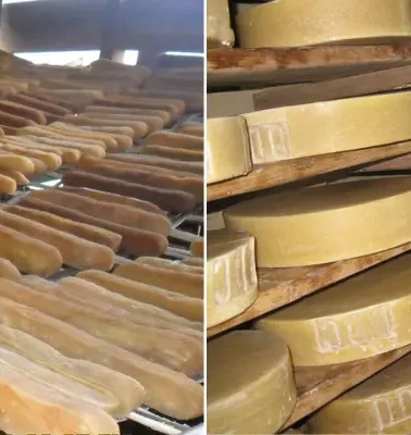 All About Yak Cheese: The Hidden Dairy Food of Nepal Trek