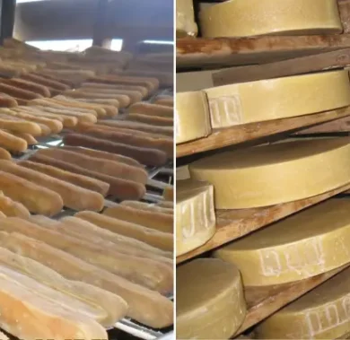 All About Yak Cheese: The Hidden Dairy Food of Nepal Trek
