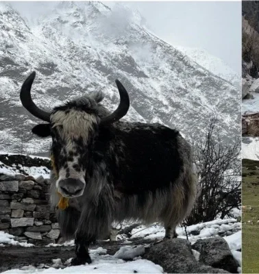 Manaslu Conservation Area: A Complete Trekking Guide