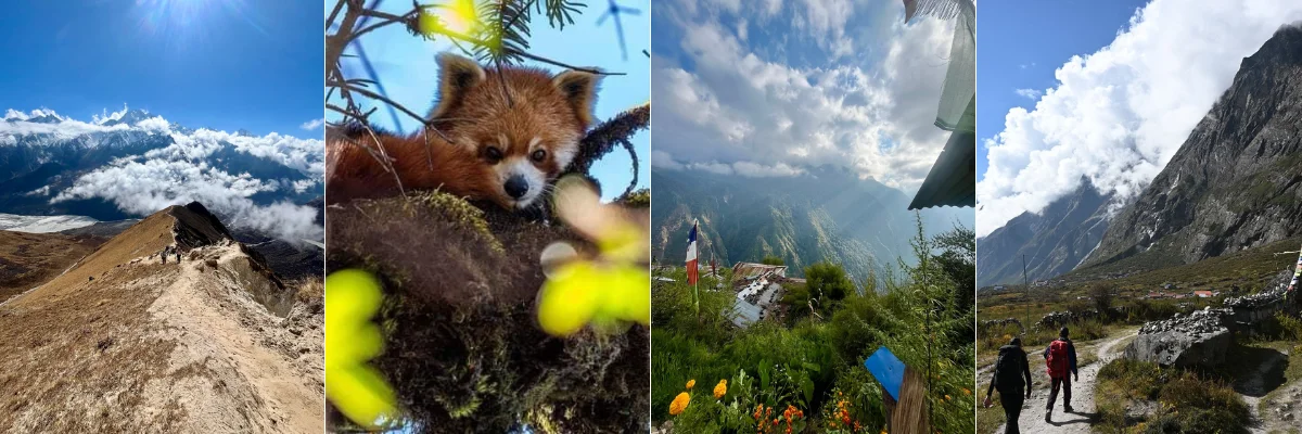 Langtang National Park – Top Things You Need to Know